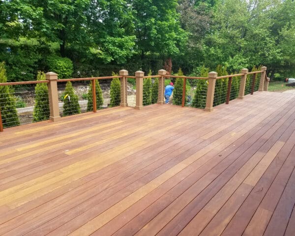 Gallery photo 1