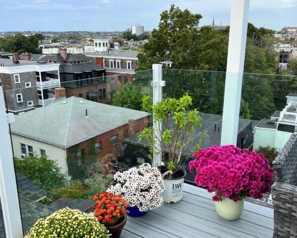 Gallery photo 3