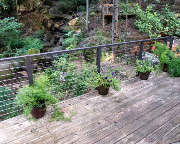 Gallery photo 1